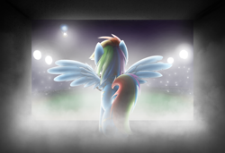 Size: 1100x751 | Tagged: safe, artist:xioade, rainbow dash, pegasus, pony, backlighting, solo, stadium, wonderbolts uniform