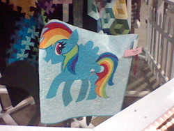 Size: 640x480 | Tagged: safe, rainbow dash, pegasus, pony, airbrush, blue coat, female, irl, mare, multicolored mane