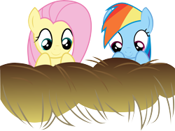 Size: 7605x5725 | Tagged: safe, fluttershy, rainbow dash, pegasus, pony, .ai available, absurd resolution, hay, simple background, transparent background, vector