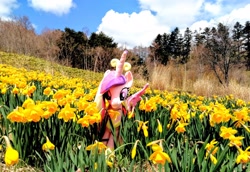 Size: 2048x1408 | Tagged: safe, photographer:pakapaka1993, princess cadance, daffodil, flower, irl, photo, plushie, solo