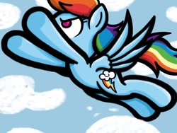 Size: 1024x768 | Tagged: safe, artist:alcoconut, rainbow dash, pegasus, pony, blue coat, female, flying, mare, multicolored mane, solo