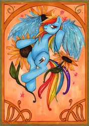 Size: 590x835 | Tagged: safe, artist:madblackie, rainbow dash, pegasus, pony, bust, portrait, solo, sunflower