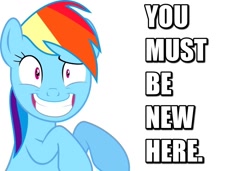 Size: 1280x874 | Tagged: safe, rainbow dash, pegasus, pony, idiotic debate, solo, text, you must be new here