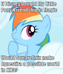 Size: 500x587 | Tagged: safe, rainbow dash, pegasus, pony, disney, image macro, kingdom hearts, solo