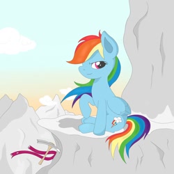 Size: 894x894 | Tagged: safe, artist:fluttershyfree, rainbow dash, pegasus, pony, detailed background, female, mare, solo