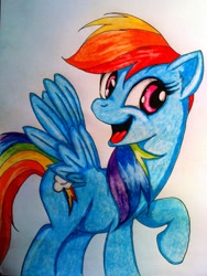 Size: 1353x1802 | Tagged: safe, artist:tomek2289, rainbow dash, pegasus, pony, blue coat, female, mare, multicolored mane, solo, traditional art