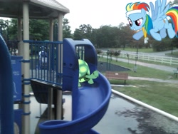 Size: 2048x1536 | Tagged: safe, artist:tokkazutara1164, rainbow dash, tank, bench, headband, irl, photo, playground, ponies in real life, slide, vector, whistle