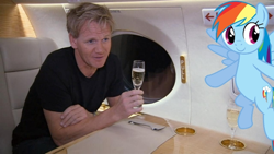 Size: 600x338 | Tagged: safe, rainbow dash, champagne, gordon ramsay, irl, photo, ponies in real life