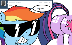 Size: 875x556 | Tagged: safe, rainbow dash, twilight sparkle, pegasus, pony, ask, plot, rainbowdashsmailbag, tumblr