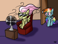 Size: 800x600 | Tagged: safe, artist:dililah99, fluttershy, rainbow dash, pegasus, pony, door, fan, sunglasses, windswept mane