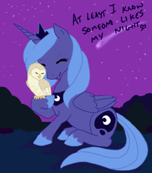 Size: 650x738 | Tagged: artist needed, safe, princess luna, alicorn, bird, owl, pony, cute, dialogue, eyes closed, female, lunabetes, mare, night, s1 luna, shooting star