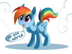 Size: 1024x768 | Tagged: safe, artist:typicalup, rainbow dash, pegasus, pony, 20% cooler, russian, solo