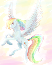 Size: 1200x1500 | Tagged: safe, artist:akashasi, rainbow dash, pegasus, pony, female, mare, simple background, solo