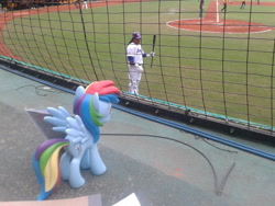 Size: 1024x768 | Tagged: safe, artist:ajnrules, rainbow dash, human, baseball, funko, irl, irl human, manny ramirez, photo, ponies around the world, taiwan, toy