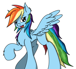 Size: 1747x1584 | Tagged: safe, artist:macmc2, rainbow dash, pegasus, pony, blue coat, female, mare, multicolored mane, simple background, solo, white background, wings