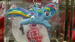 Size: 2592x1456 | Tagged: safe, rainbow dash, pegasus, pony, blue coat, books-a-million, female, mare, merchandise, multicolored mane