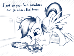 Size: 1024x768 | Tagged: safe, artist:rainbow, rainbow dash, pegasus, pony, bronybait, clothes, creepy rainbow dash, cute, dashabetes, female, fetish, mare, monochrome, shoes, simple background, sneakers, sneakers fetish, solo, text, white background