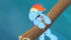 Size: 1280x720 | Tagged: safe, screencap, mare do well, rainbow dash, pegasus, pony, the mysterious mare do well, log, out of context, river, solo, tongue out, wet