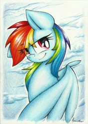 Size: 800x1130 | Tagged: safe, artist:moonlightfl, rainbow dash, pegasus, pony, bust, portrait, solo, traditional art