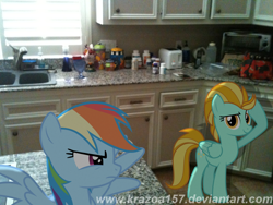 Size: 1280x960 | Tagged: safe, artist:krazoa157, lightning dust, rainbow dash, irl, kitchen, photo, ponies in real life, vector