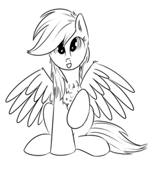 Size: 500x559 | Tagged: safe, artist:xioade, rainbow dash, pegasus, pony, chest fluff, monochrome, solo