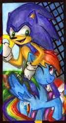 Size: 416x768 | Tagged: safe, artist:antych, rainbow dash, pegasus, pony, crossover, sonic the hedgehog, sonic the hedgehog (series), traditional art