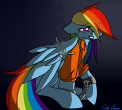 Size: 541x486 | Tagged: safe, artist:roxsasdoll, rainbow dash, pegasus, pony, clothes, never doubt rainbowdash69's involvement, prison, prison outfit, prisoner rd, solo