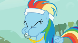 Size: 1021x563 | Tagged: safe, screencap, rainbow dash, pegasus, pony, call of the cutie, blowing, coach, headband, solo, spit, spitting, sports, sweatband, training, whistle