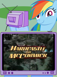 Size: 564x760 | Tagged: safe, rainbow dash, pegasus, pony, exploitable meme, hardcastle and mccormick, meme, obligatory pony, tv meme