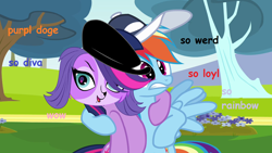 Size: 1280x720 | Tagged: safe, rainbow dash, twilight sparkle, pegasus, pony, 1000 hours in ms paint, doge, hat, littlest pet shop, meme, ms paint, zoe trent