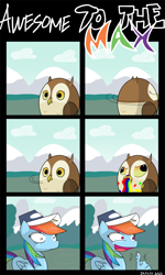 Size: 600x1000 | Tagged: safe, artist:thewormouroboros, rainbow dash, owl, pegasus, pony, may the best pet win, comic, hand