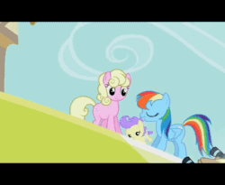 Size: 704x576 | Tagged: safe, screencap, cream puff, millie, rainbow dash, snappy scoop, pegasus, pony, the mysterious mare do well, animated, animation error, baby, baby flip, cameras
