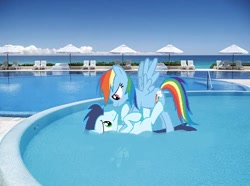 Size: 498x370 | Tagged: safe, artist:sadaslhey, rainbow dash, soarin', female, irl, male, photo, ponies in real life, shipping, soarindash, straight, swimming pool, vector