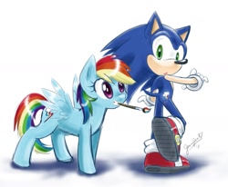 Size: 2119x1746 | Tagged: safe, artist:chibi-jen-hen, rainbow dash, pegasus, pony, crossover, cutie mark, mouth hold, paint, paint on fur, paintbrush, sonic the hedgehog, sonic the hedgehog (series)