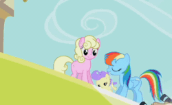Size: 704x432 | Tagged: safe, screencap, cream puff, millie, rainbow dash, snappy scoop, pegasus, pony, the mysterious mare do well, animated, baby, baby flip, cameras, gif, loop, throwing