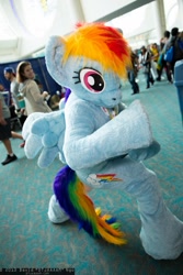 Size: 1365x2048 | Tagged: artist needed, safe, rainbow dash, human, cosplay, fursuit, irl, irl human, photo, san diego comic con