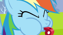 Size: 1280x720 | Tagged: safe, screencap, rainbow dash, pegasus, pony, hurricane fluttershy, blowing, blowing whistle, coach, coach rainbow dash, puffy cheeks, solo, training, whistle