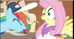 Size: 913x487 | Tagged: safe, screencap, fluttershy, rainbow dash, pegasus, pony, hurricane fluttershy, bathrobe, blowing, blowing whistle, clothes, hat, hub logo, hubble, lowres, needs more jpeg, puffy cheeks, rainbow dashs coaching whistle, robe, scared, shocked, whistle