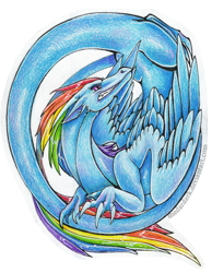 Size: 500x643 | Tagged: safe, artist:shedardark, rainbow dash, dragon, dragoness, dragonified, feathered dragon, female, rainbow dragon, simple background, solo, species swap, traditional art, transparent background