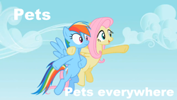 Size: 1280x720 | Tagged: safe, edit, edited screencap, screencap, fluttershy, rainbow dash, pegasus, pony, may the best pet win, caption, duo, flying, hoof around neck, meme, x x everywhere