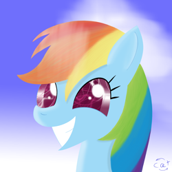 Size: 2000x2000 | Tagged: safe, artist:miaowwww, rainbow dash, pegasus, pony, female, mare, simple background, solo