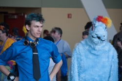 Size: 1280x853 | Tagged: artist needed, safe, rainbow dash, soarin', human, bronycon, convention, cosplay, fursuit, godawful cosplay, goggles, irl, irl human, necktie, photo