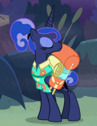 Size: 350x450 | Tagged: safe, edit, edited screencap, screencap, princess luna, alicorn, pony, between dark and dawn, animated, cropped, forest, gif, loop, night, reversed, solo