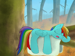 Size: 1032x774 | Tagged: safe, artist:fuzzyfox11, rainbow dash, pegasus, pony, blue coat, female, mare, multicolored mane, sleeping, solo