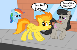 Size: 1106x723 | Tagged: safe, artist:grumblepluck, octavia melody, rainbow dash, spitfire, earth pony, pegasus, pony, female, grin, open mouth, raised eyebrow, raised hoof, raised leg, smiling, speech bubble, stalker, stalking, talking, that fucking cat, that fucking dash, walking, window