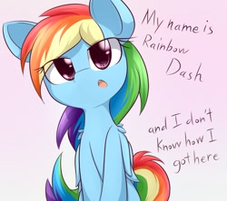 Size: 1125x1000 | Tagged: safe, artist:dshou, rainbow dash, pegasus, pony, cute, dashabetes, dialogue, female, mare, my name is x, open mouth, solo