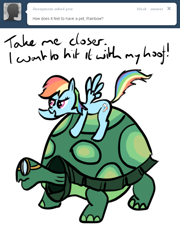 Size: 650x902 | Tagged: safe, artist:redesine, rainbow dash, tank, pegasus, pony, ask, ask applejack and rainbow dash, drive me closer, duo, female, giant tortoise, goggles, mare, ponies riding turtles, riding, simple background, tumblr, white background