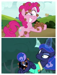 Size: 3106x4096 | Tagged: safe, edit, edited screencap, screencap, pinkie pie, princess luna, alicorn, pony, between dark and dawn, rock solid friendship, stingbush seed pods