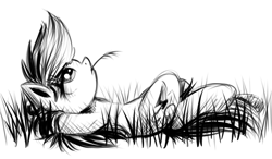 Size: 700x409 | Tagged: safe, artist:xioade, rainbow dash, pegasus, pony, black and white, grass, grayscale, monochrome, on back, resting, solo