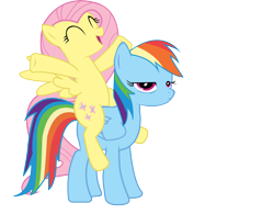 Size: 6219x4859 | Tagged: safe, artist:tiredbrony, fluttershy, rainbow dash, pegasus, pony, absurd resolution, ponies riding ponies, riding, simple background, transparent background, unamused, vector